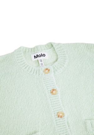 2W26K309 NILE GREEN