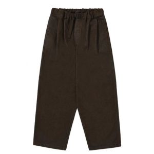 TTWDP BROWN